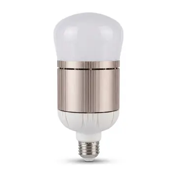 EcoBright High Power LED Bulb 30W