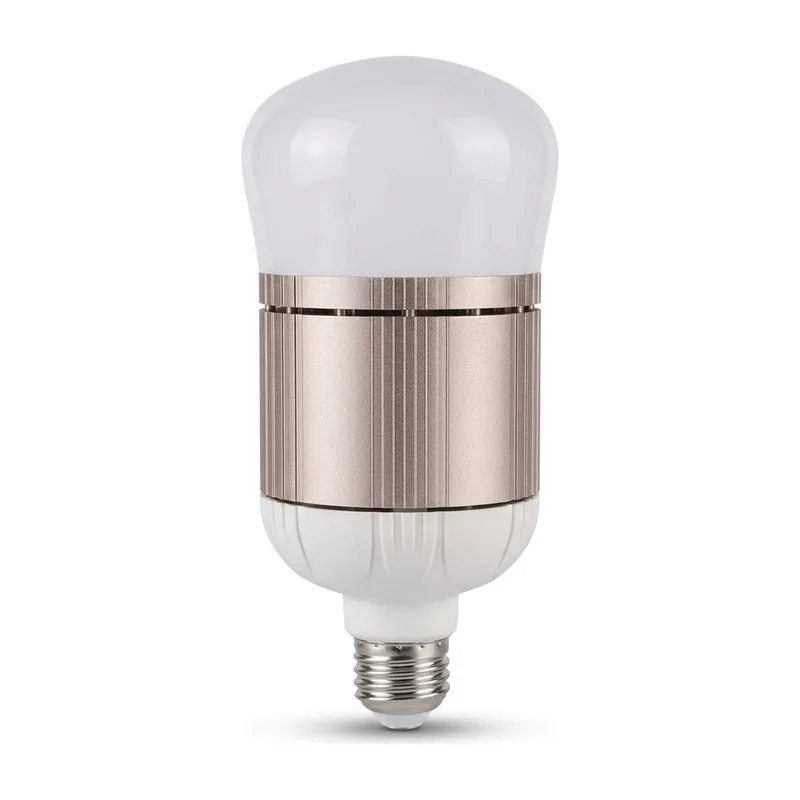 EcoBright High Power LED Bulb 30W