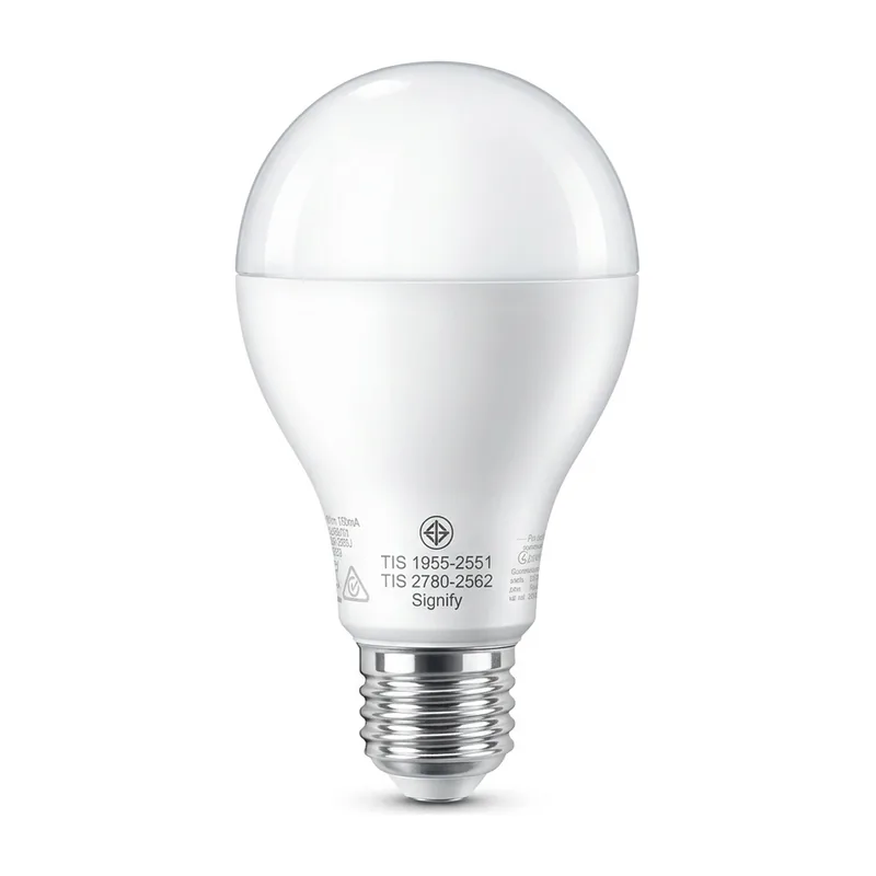 Philips LED Bulb 19W (LED19WE27A67)