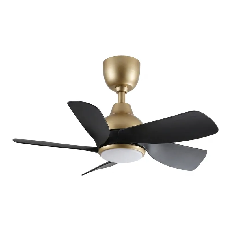 Regair & Inovo Regair Rozy 30T / Rozy 30 DC Ceiling Fan, 5 Blade, 30 inch, Remote Control
