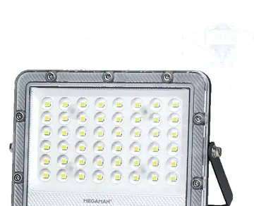 Megaman LED Floodlight ZDL3022