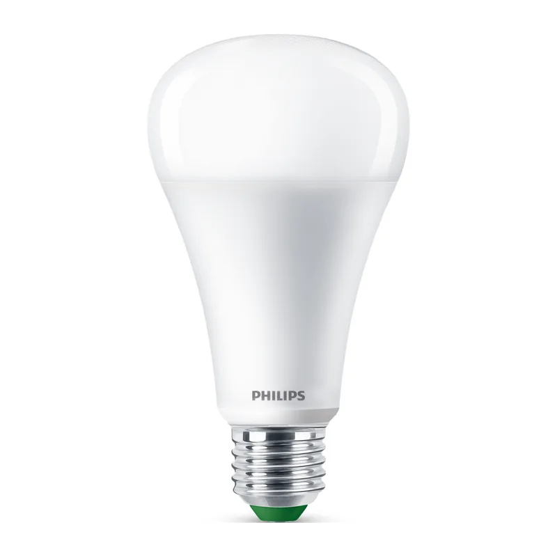 Philips LED Bulb A75 E27, 30,000 Hours
