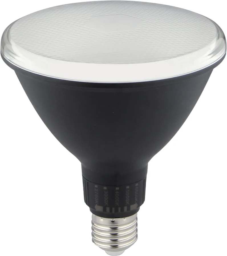 Prestige Outdoor LED PAR38 15W