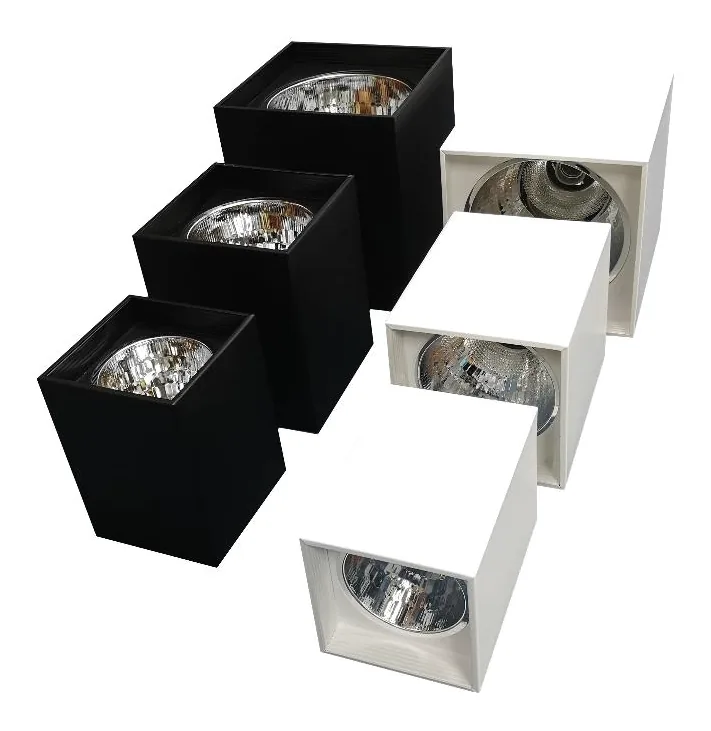 Prestige Surface Downlight Casing Square