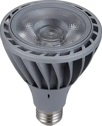 Prestige PAR 30 24W