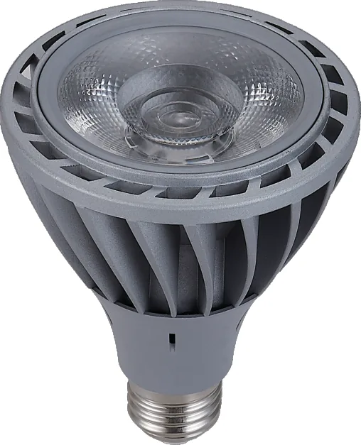 Prestige PAR 30 24W