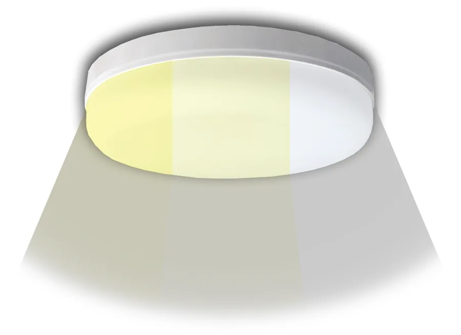 Prestige 20W 24W 36W Scene Switch Downlight