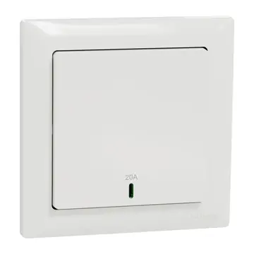 Schneider Electric Affle Plus Double Pole Switches, 20A / 32A / 45A, 1 to 2 Gang