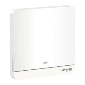 Schneider Electric AvatarON Double Pole Switches, 20A / 32A / 45A, 1 to 2 Gang