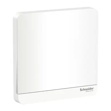 Schneider Electric AvatarON Switches, 16AX, 1 to 4 Gang