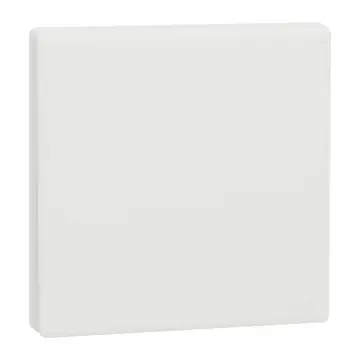 Schneider Electric Vivace E Momentary Switches, 10A, 1 Gang
