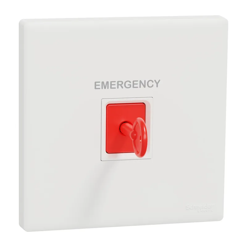 Schneider Electric Vivace E Hotel Card, Panic, Curtain and Special Switches